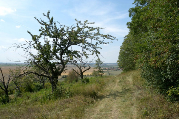 Chotuc - pohled do obce