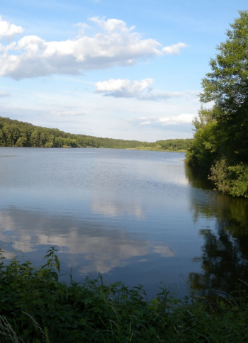 Rybník Jakub u Záhornic